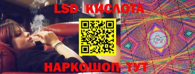 крисы Партизанск