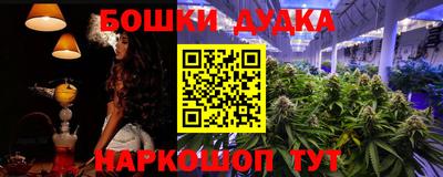 крисы Партизанск