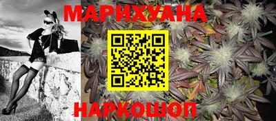 крисы Партизанск