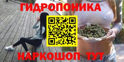 apvp Пенза