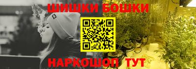 крисы Партизанск